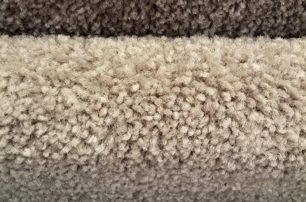 Carpet Cleaning Chemicals for High-Volume Facility Maintenance