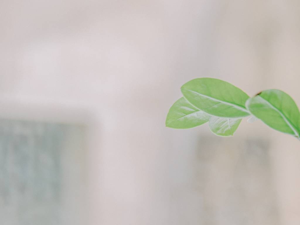 Commercial Air Freshener Solutions for Facility-Wide Freshness