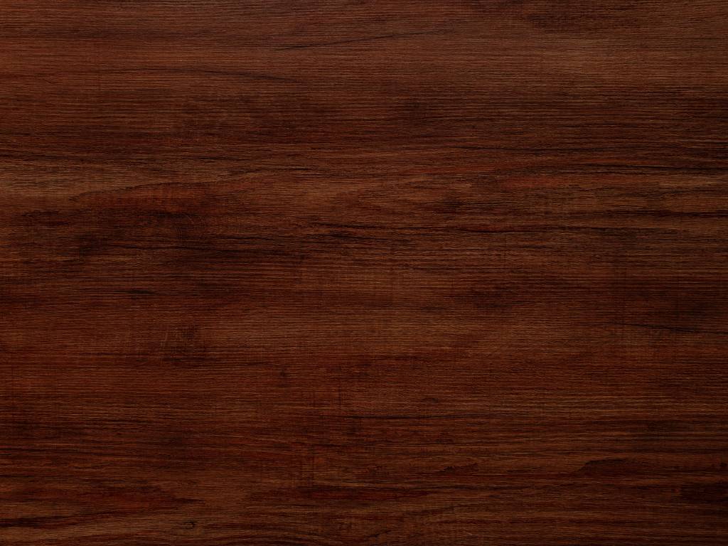 Commercial Floor Care Solutions for Facility-Wide Maintenance