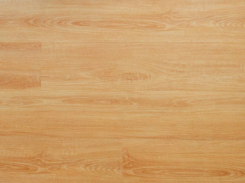 Floor Care Solutions for High-Traffic Facilities