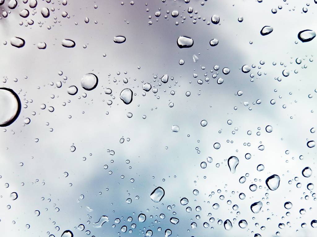 Green Cleaning Products for Commercial Facilities