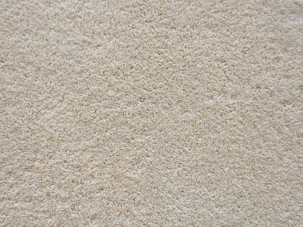 Professional Carpet Deordorizer: What Facility Managers Should Know