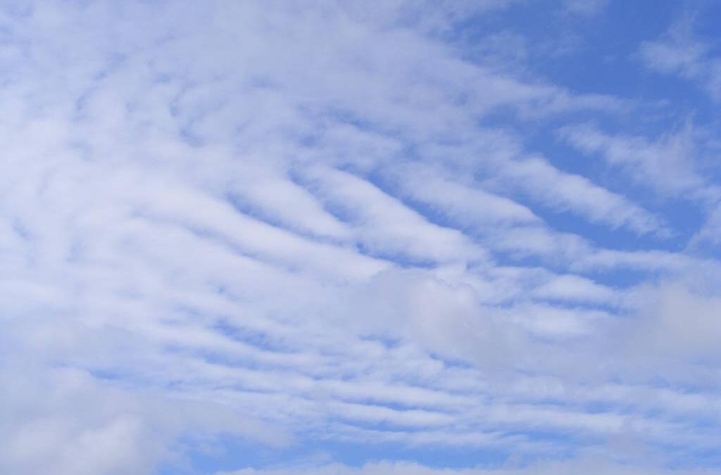 Air Care Products for Large Facilities