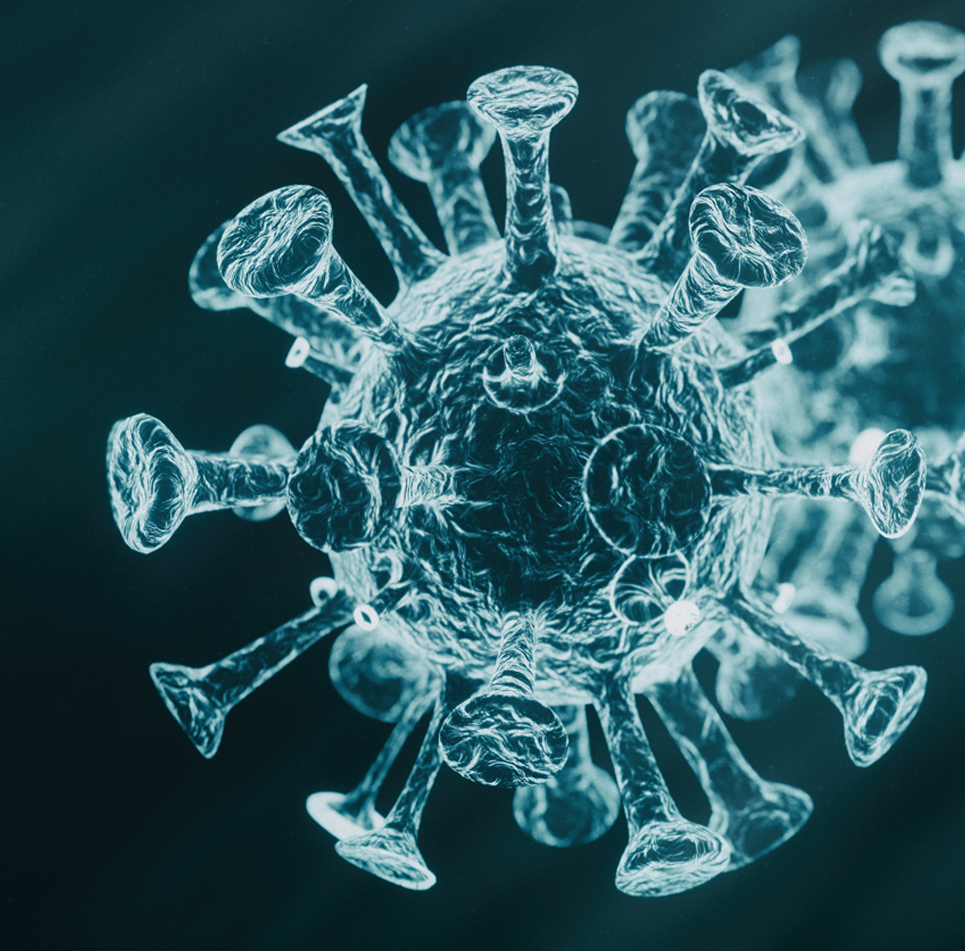 Disinfection & Virus Prevention coronavirus bg graphic - Disinfection & Virus Prevention